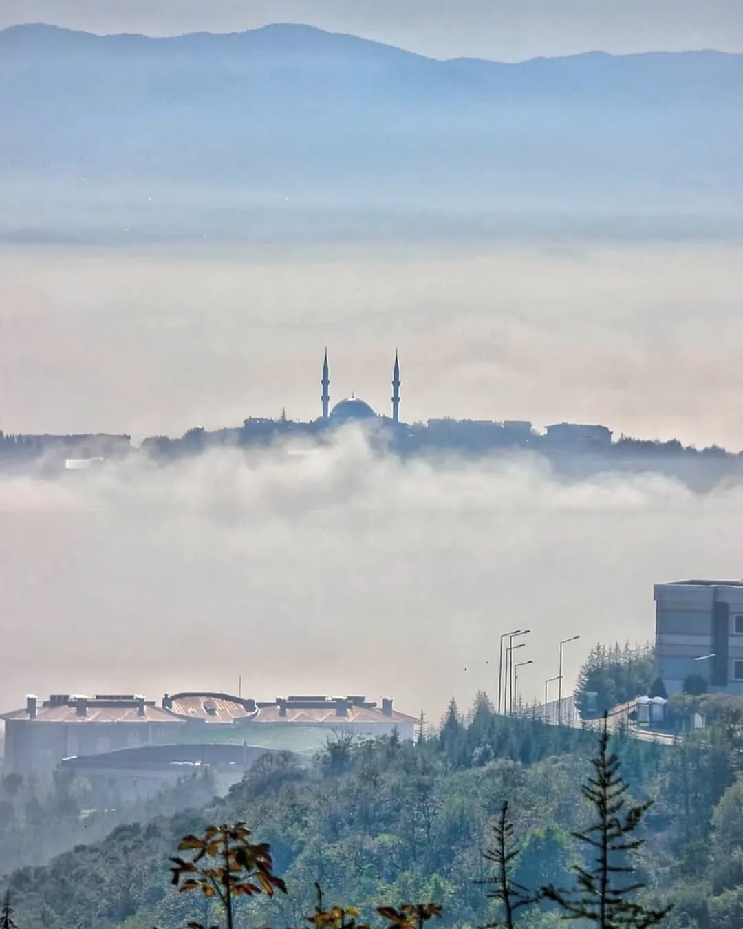 Kocaeli'yi Kaplayan Sabah Sisi: Umuttepe'deki Doğal Munzur
