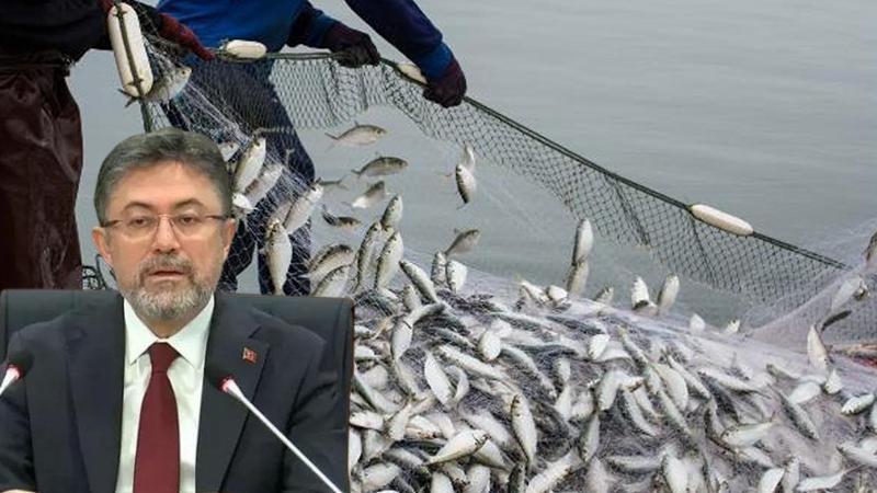 Türkiye'de Su Ürünleri İhracatı Tarihi Rekor Kırdı