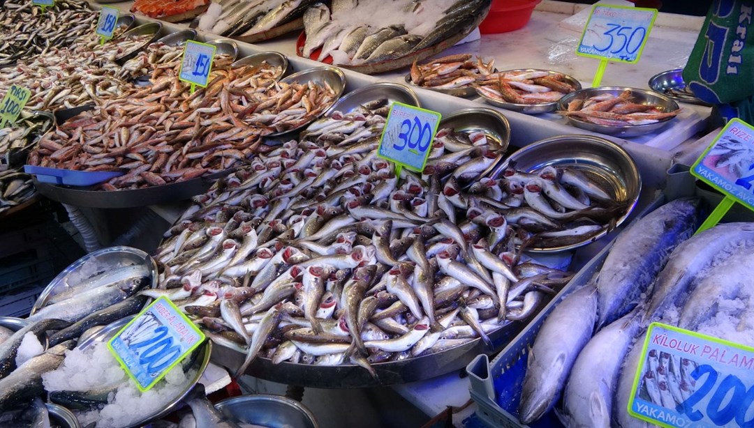 Deniz Suyu Sıcaklık Artışı Karadeniz'de Hamsi ve Palamutu Azalttı