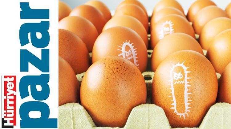 Gıda Güvenliği: Salmonella Tehlikesine Karşı Korunmanın Yolları