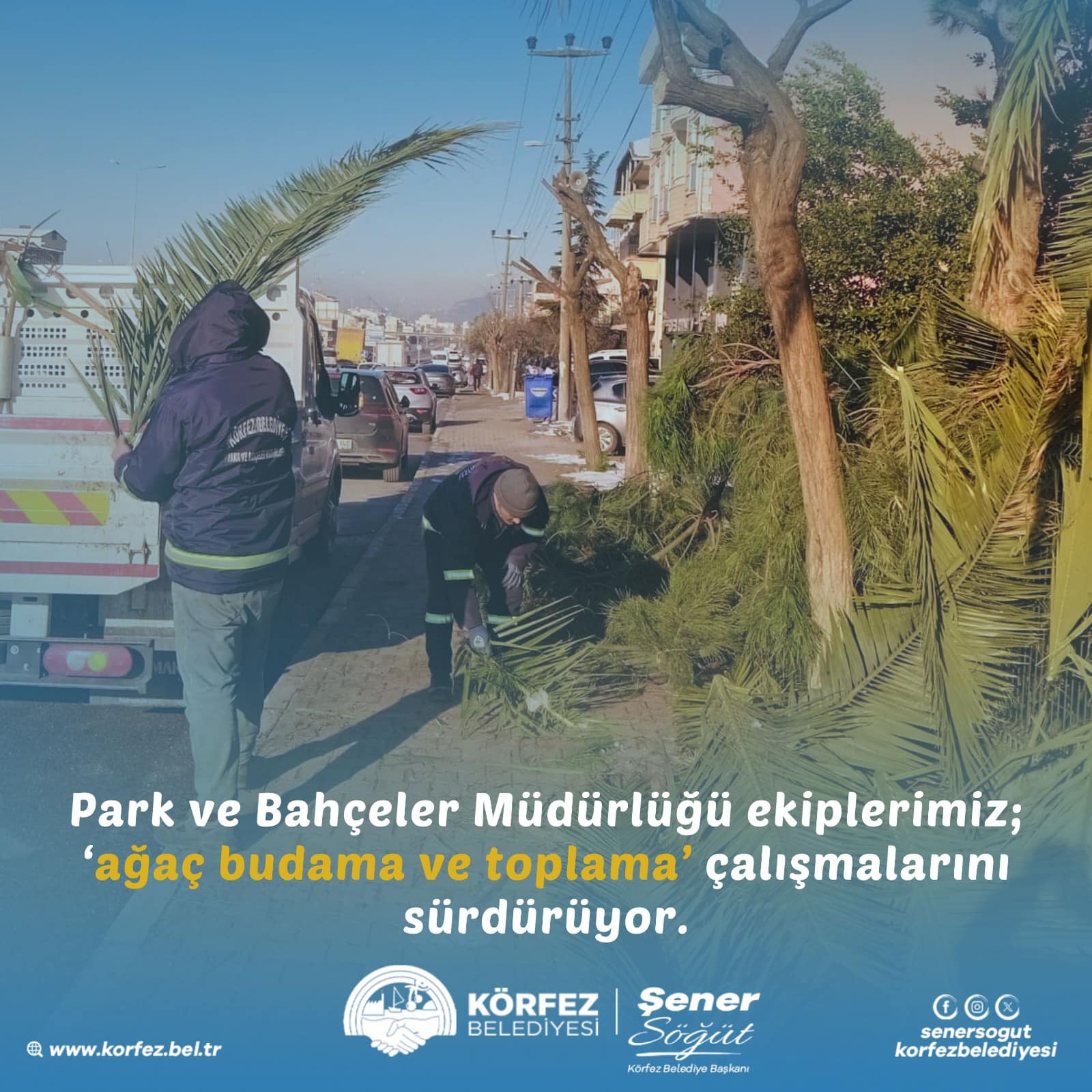 Körfez Belediyesi'nden Ağaç Budama ve Toplama Çalışmaları