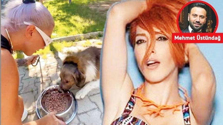 Gönüllü Vatandaş Evde Yemek Yaparak Sokak Hayvanlarını Besliyor
