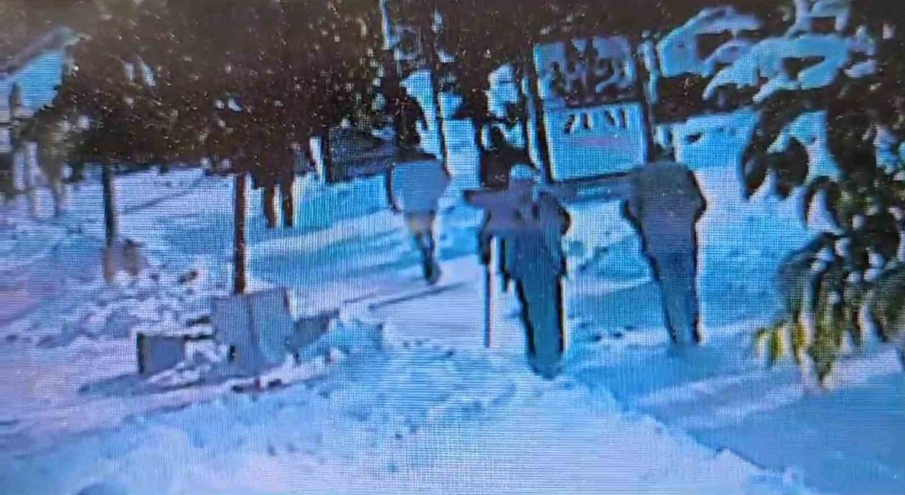 97 Yaşındaki Ahmet Gedik Çaycuma'da Buzlu Yolda Hayatını Kaybetti